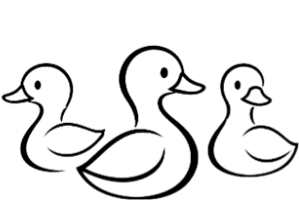 تصویر کامیونیتی